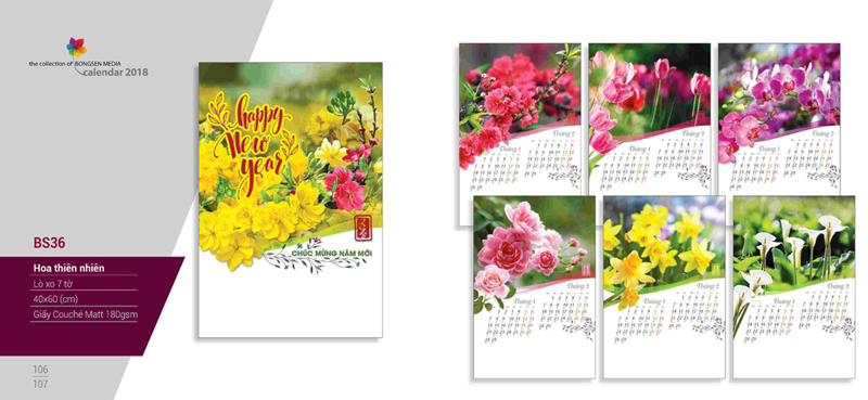 Lịch tết 2018 BS36